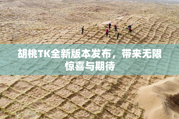 胡桃TK全新版本发布，带来无限惊喜与期待