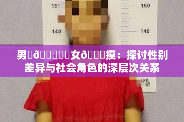 男‌🍌❌‌女🍑摸：探讨性别差异与社会角色的深层次关系