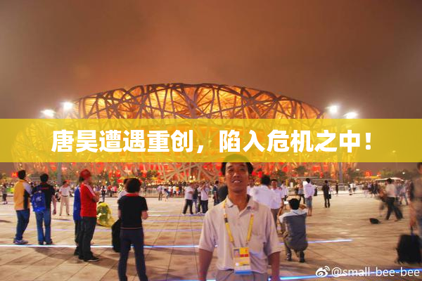 唐昊遭遇重创，陷入危机之中！