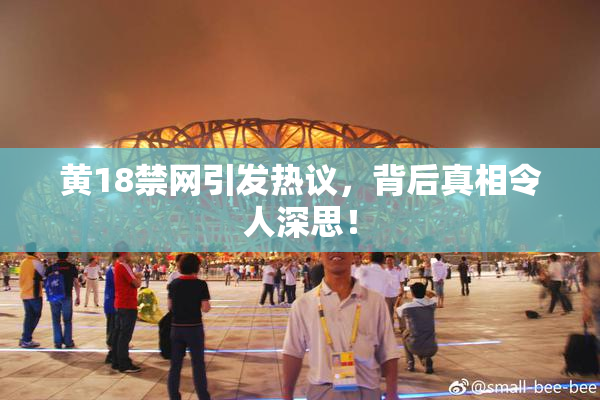 黄18禁网引发热议，背后真相令人深思！