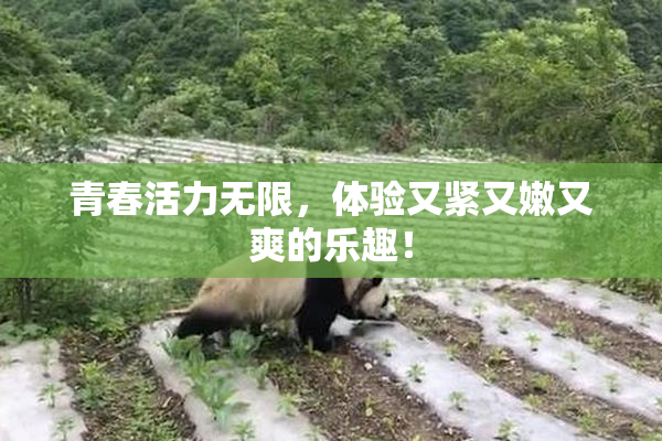 青春活力无限，体验又紧又嫩又爽的乐趣！