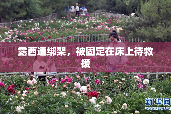 露西遭绑架，被固定在床上待救援