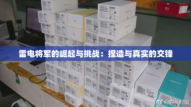 雷电将军的崛起与挑战：捏造与真实的交锋