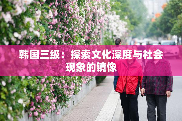 韩国三级：探索文化深度与社会现象的镜像