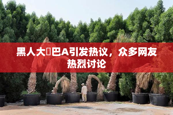 黑人大鷄巴A引发热议，众多网友热烈讨论
