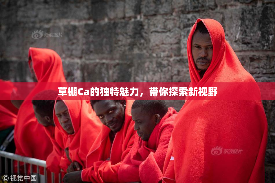草棚Ca的独特魅力，带你探索新视野