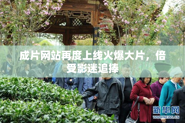 成片网站再度上线火爆大片，倍受影迷追捧