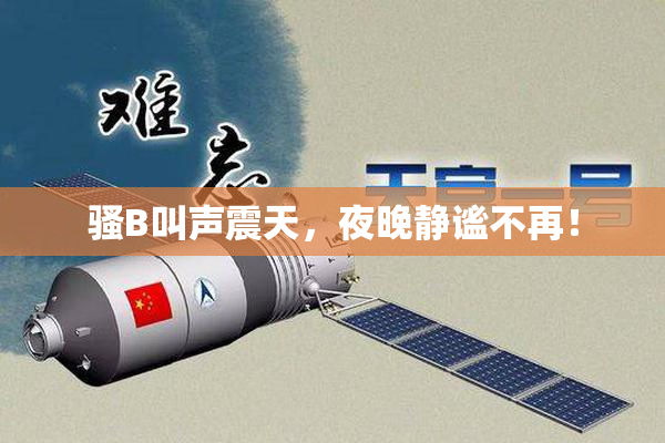 骚B叫声震天，夜晚静谧不再！