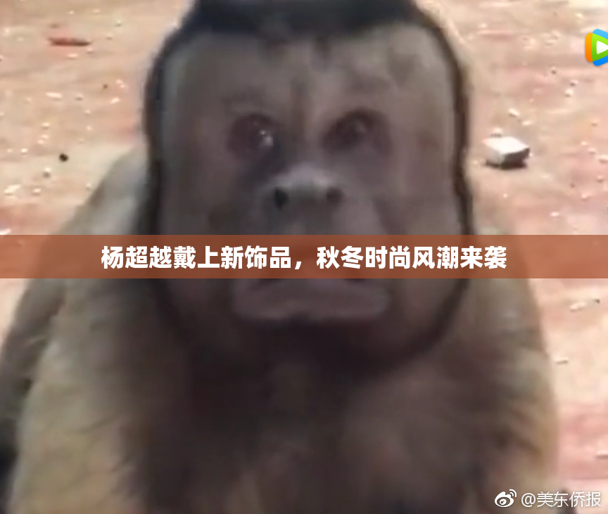 杨超越戴上新饰品，秋冬时尚风潮来袭