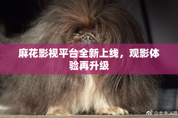 麻花影视平台全新上线，观影体验再升级