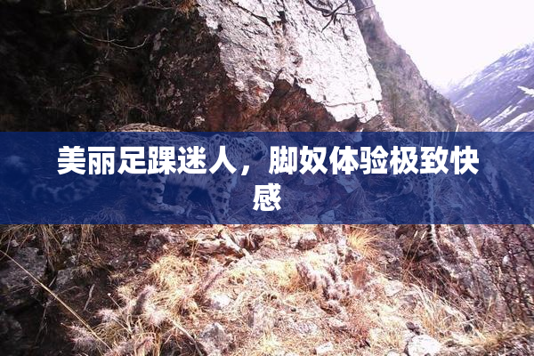 美丽足踝迷人，脚奴体验极致快感