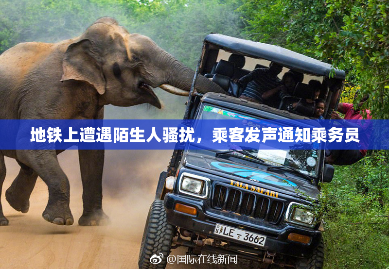 地铁上遭遇陌生人骚扰，乘客发声通知乘务员