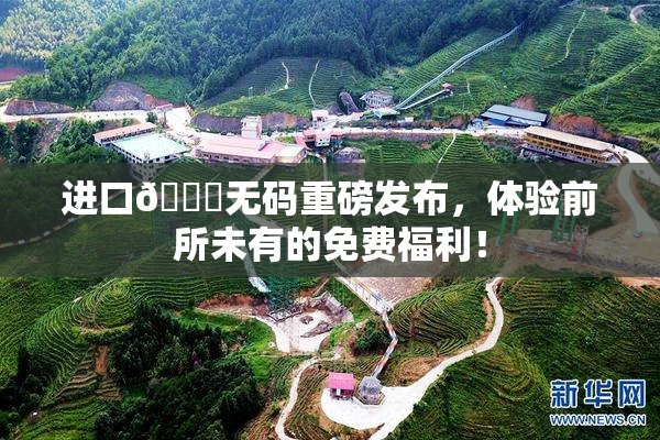 进口🔞无码重磅发布，体验前所未有的免费福利！