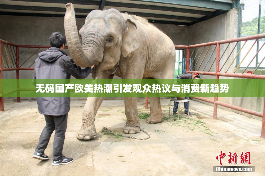 无码国产欧美热潮引发观众热议与消费新趋势