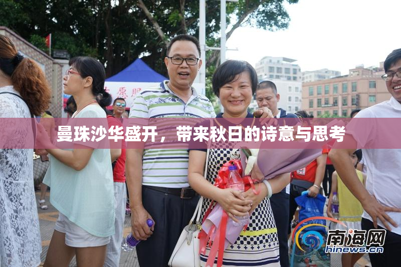 曼珠沙华盛开，带来秋日的诗意与思考