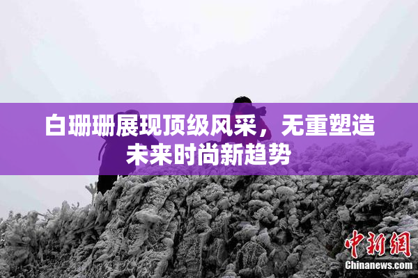 白珊珊展现顶级风采，无重塑造未来时尚新趋势