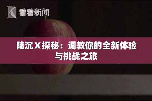 陆沉Ⅹ探秘：调教你的全新体验与挑战之旅