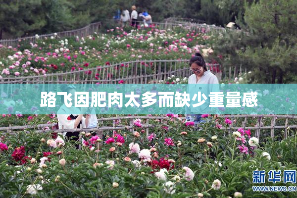 路飞因肥肉太多而缺少重量感