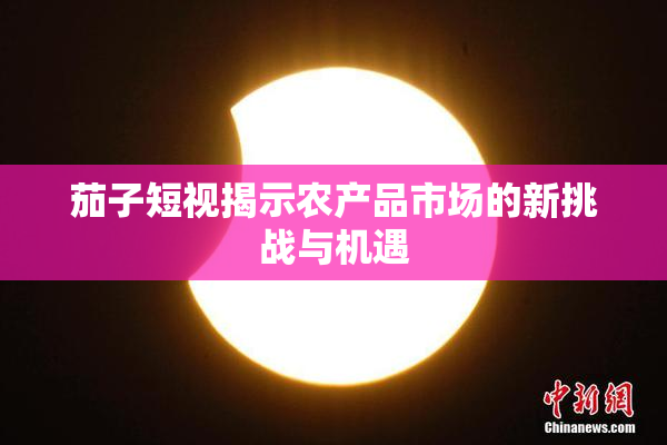 茄子短视揭示农产品市场的新挑战与机遇