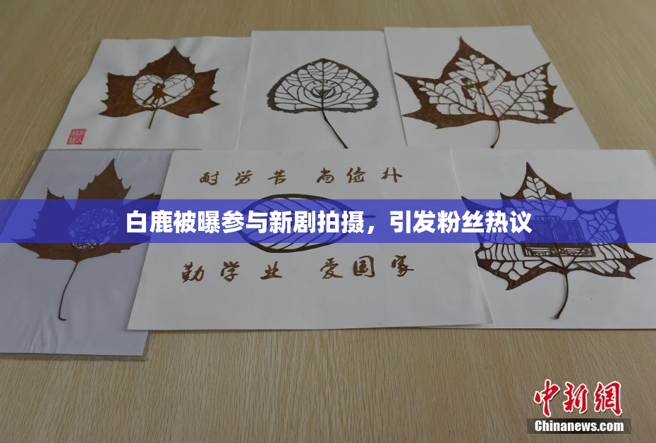 白鹿被曝参与新剧拍摄，引发粉丝热议