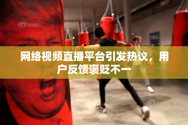 网络视频直播平台引发热议，用户反馈褒贬不一
