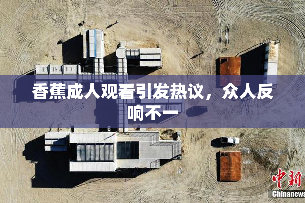 香蕉成人观看引发热议，众人反响不一