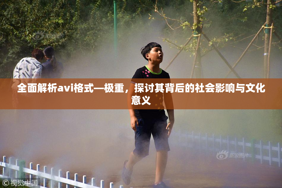 全面解析avi格式―极重，探讨其背后的社会影响与文化意义