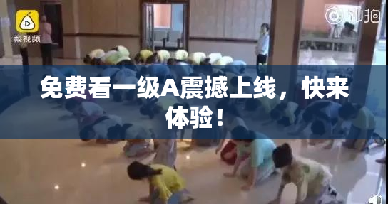 免费看一级A震撼上线，快来体验！