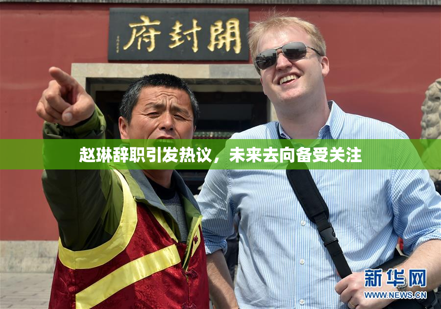 赵琳辞职引发热议，未来去向备受关注