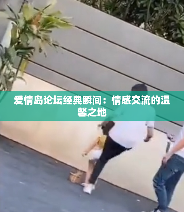 爱情岛论坛经典瞬间：情感交流的温馨之地