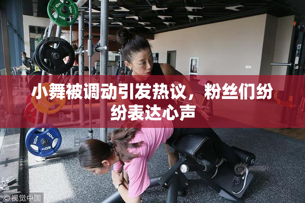 小舞被调动引发热议，粉丝们纷纷表达心声
