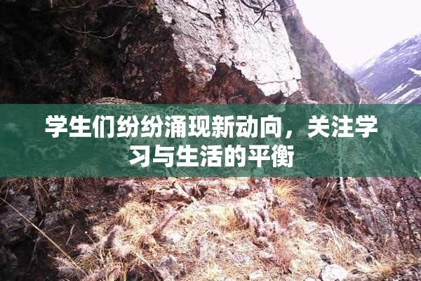 学生们纷纷涌现新动向，关注学习与生活的平衡
