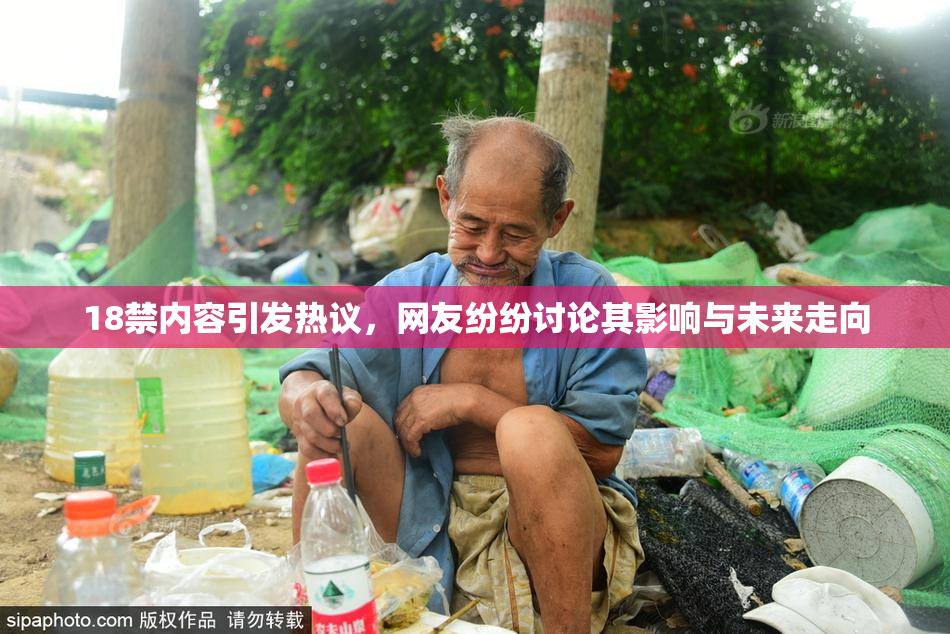 18禁内容引发热议，网友纷纷讨论其影响与未来走向