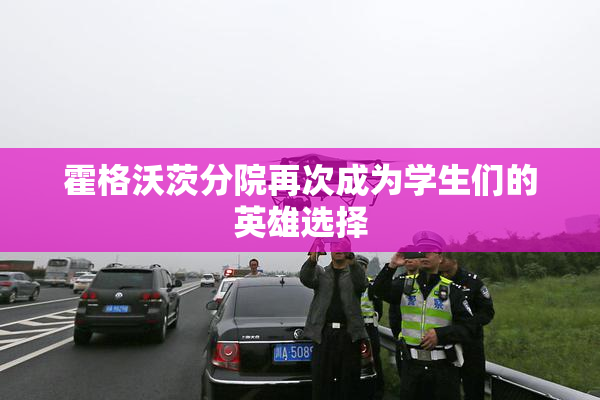 霍格沃茨分院再次成为学生们的英雄选择