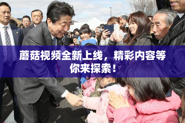 蘑菇视频全新上线，精彩内容等你来探索！