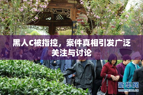 黑人C被指控，案件真相引发广泛关注与讨论
