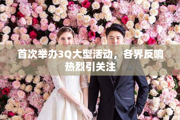 首次举办3Q大型活动，各界反响热烈引关注