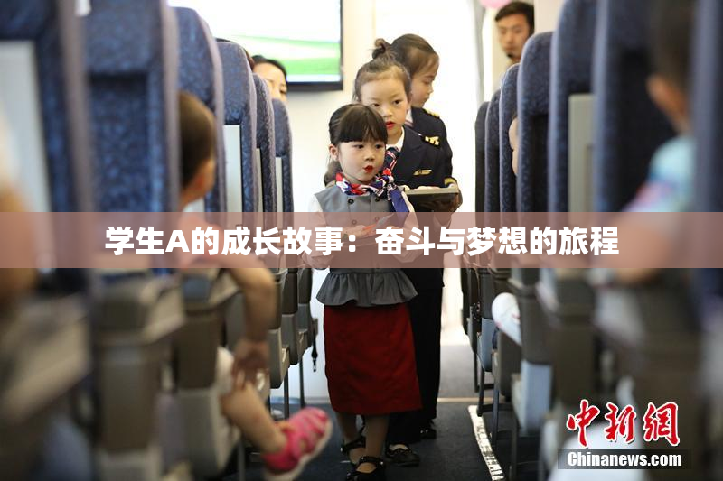 学生A的成长故事：奋斗与梦想的旅程