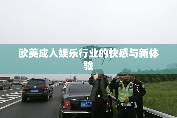 欧美成人娱乐行业的快感与新体验