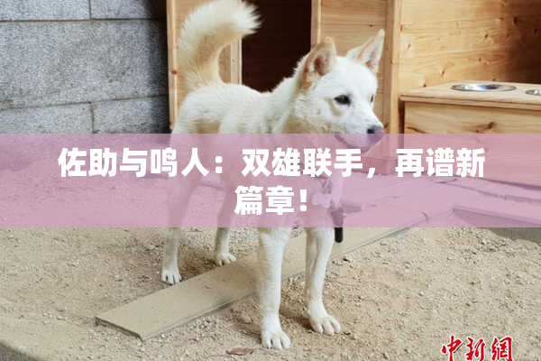 佐助与鸣人：双雄联手，再谱新篇章！