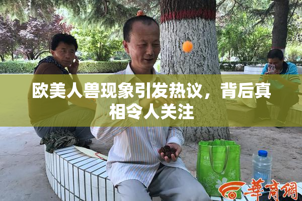 欧美人兽现象引发热议，背后真相令人关注