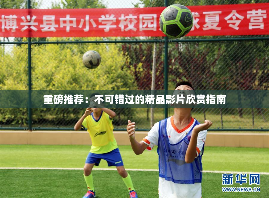 重磅推荐：不可错过的精品影片欣赏指南