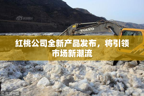红桃公司全新产品发布，将引领市场新潮流