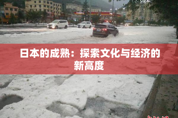 日本的成熟：探索文化与经济的新高度