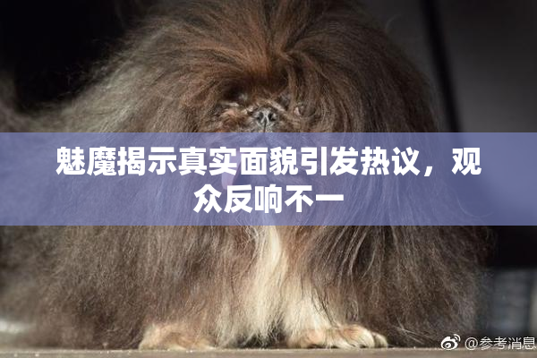 魅魔揭示真实面貌引发热议，观众反响不一