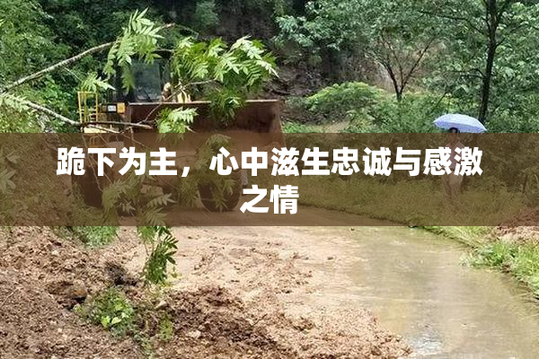 跪下为主，心中滋生忠诚与感激之情