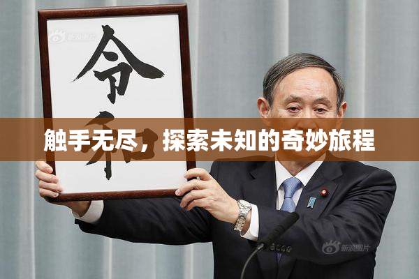 触手无尽，探索未知的奇妙旅程