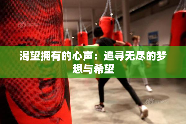 渴望拥有的心声：追寻无尽的梦想与希望