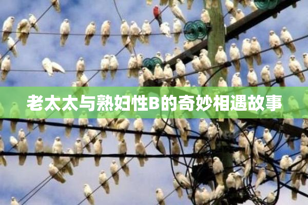 老太太与熟妇性B的奇妙相遇故事