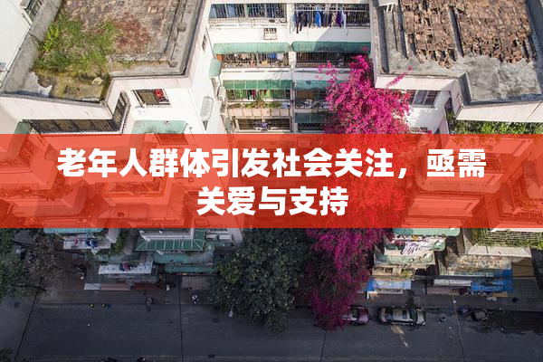 老年人群体引发社会关注，亟需关爱与支持
